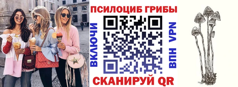 Галлюциногенные грибы Magic Shrooms  купить  сайты  Красково 